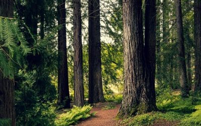 Nos rendez-vous 2020-2021